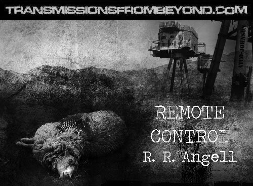 Remote Control by R.R. Angell